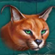 Super Cats: Luchs