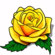 Texas Tea: Rose