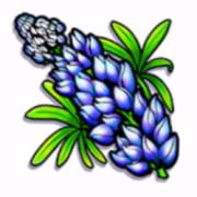 Texas Tea: Blume