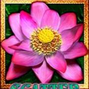 Thai Flower Megaways: Streuung