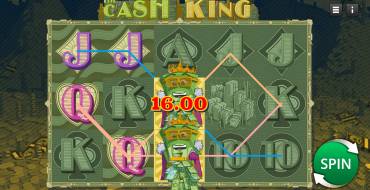 The Cash King: Gewinne