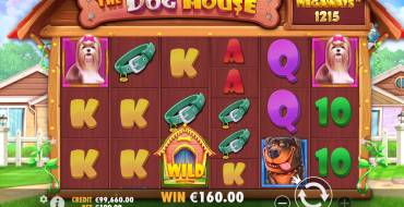 The Dog House Megaways: Gewinne