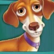 The Dog House Megaways: Dackel