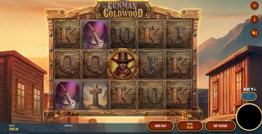 The Gunman of Goldwood: Schnittstelle