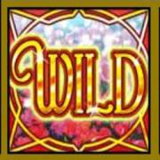 The Wizard of Oz: Wild