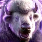 Thundering Buffalo: Jackpot Dash: Büffel