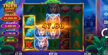 Tiger Gems: Hold and Win: Gewinne