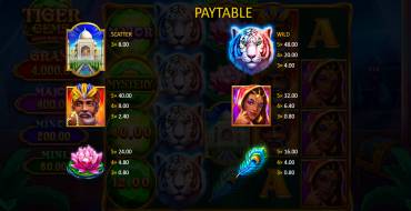 Tiger Gems: Hold and Win: Auszahlungstabelle