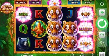 Tiger Jungle Hold and Win: Spielautomat