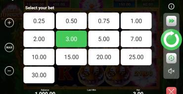 Tiger Jungle Hold and Win: Wetten