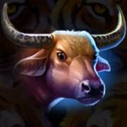 Tiger Jungle Hold and Win: Büffel