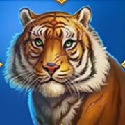 Tiger Tiger: Amurtiger