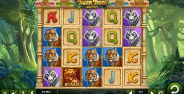 Tiger Tiger: Thema