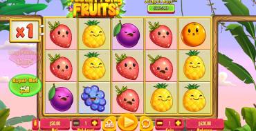 Tooty Fruity Fruits: Der Bildschirm des Spiels
