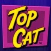 Top Cat Most Wanted Jackpot King: Obere Katze