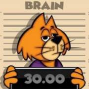 Top Cat Most Wanted Jackpot King: Kategorie 2