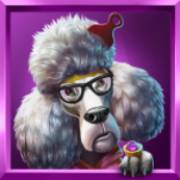 Top Dawgs: Pudel