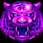 Triple Tigers: Lila Tiger