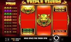 Spiel Triple Tigers