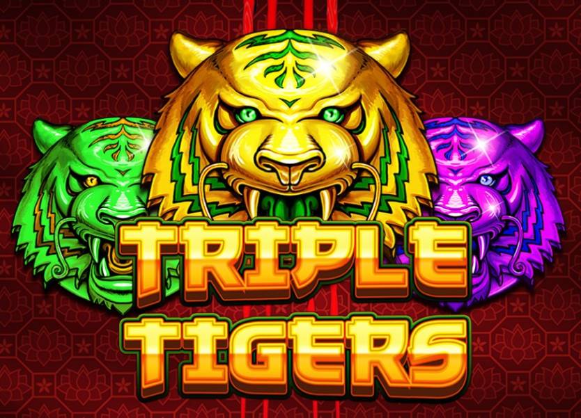 Triple Tigers