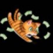 Twister Wilds: Katze