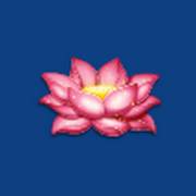 Ultra Blazing Fire Link: Blume