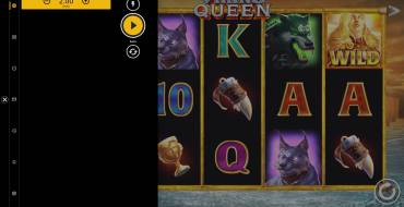 Viking Queen: Die Wette