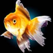 Water Tiger: Fisch