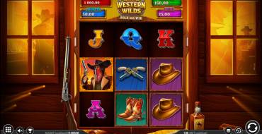 Western Wilds Hold & Win: Schnittstelle