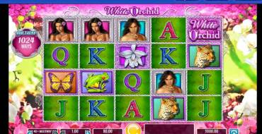 White Orchid: Spielautomat