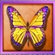 White Orchid: Schmetterling