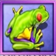 White Orchid: Frosch