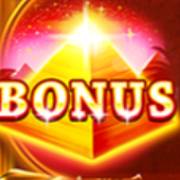 Wild Anubis: Streuung
