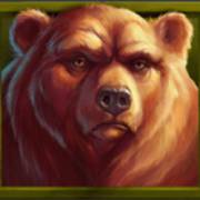 Wild Buffalo: Bär