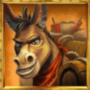 Wild Chapo: Pferd