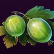 Wild Cherry Blast: Stachelbeere