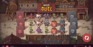 Wild Duel: Thema
