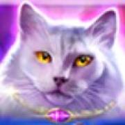 Wild Hearts: Katze