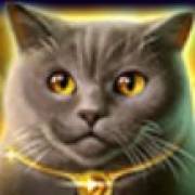 Wild Hearts: Flauschige Katze