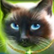 Wild Hearts: Russische Katze