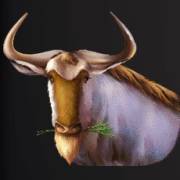 Wild Herd: Büffel