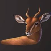 Wild Herd: Antilope