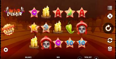 Wild Luchador: Thema