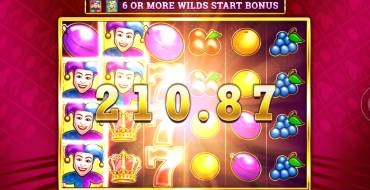 Wild Party Jokers: Gewinne