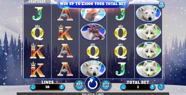 Wild Penguin: Spielautomat