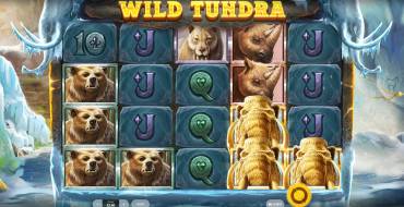 Wild Tundra: Spielautomat