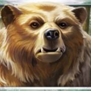 Wild Tundra: Bär
