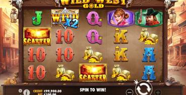 Wild West Gold: Gestaltung