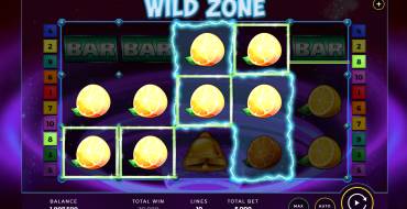 Wild Zone: Gewinne