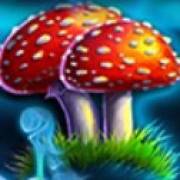 Wishing Well: Fliegenpilze